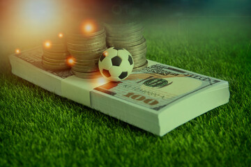 Wall Mural - business in football club and soccer team manager, online sport betting concept 