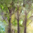 Morning sunlit foliage of trees in the forest wood in nature. Hand drawn watercolor illustration art