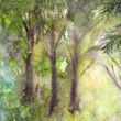Morning sunlit foliage of trees in the forest wood in nature. Hand drawn watercolor illustration art
