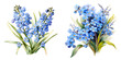 Forget me not flower watercolor  illustration clipart. Generative AI.