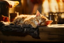 AI Generated Illustration Of A Ginger Cat Sleeping On A Wooden Shelf