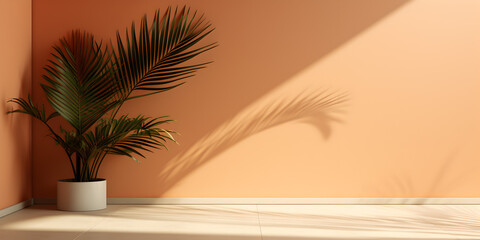 Wall Mural - Empty space with palm shadow background