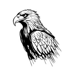 Wall Mural - Hand drawn sketch of an eagle. Vector illustration drawn by hand