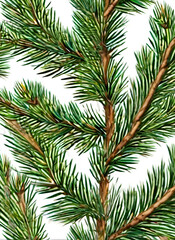  Realistic fir branch painted background Kodachrome color.