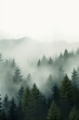 Enchanted Forest Ambiance: Slender Pines Obscured by Ethereal Mist - Signifying Peace, Depth & Nature's Mystery. Copy Space.