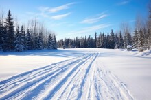 Nature Scene With Cross Country Ski Tracks
