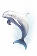 illustration of Beluga Whale isolated on white background