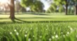 © Yana - Green grass with a blurry background. Green lawn under the rays of the sun. Lawn grass with copy space.