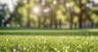 © Yana - Green grass with a blurry background. Green lawn under the rays of the sun. Lawn grass with copy space.