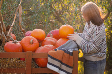 Wall Mural - young woman on pumpkink autumn  farm