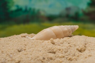 Fine sand on the seashore is an abstract background. Photography overlays- clip art