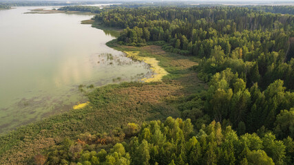 Wall Mural - Aerial view of river and forest, summer landscape