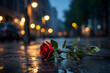 A wet red rose lies in the rain on the asphalt outside in night