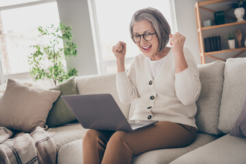 Poster - Photo of lucky impressed elderly lady wear white cardigan winning egame modern gadget indoors apartment room