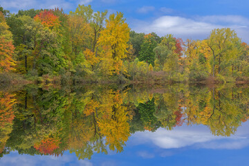 Wall Mural - Autumn landscape near sunrise of the shoreline of Gun Lake, Yankee Springs State Park, Michigan, USA