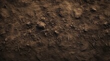 Nature Ground Background, Texture Of Fertile Land. Soil Surface Top View