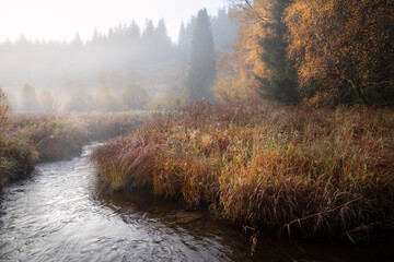 Wall Mural - foggy autumn morning over river