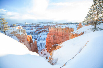 Wall Mural - Winter Bryce