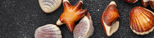 Candy Seashells Delicious Chocolate Sweet Dessert Delicious Healthy Eating Cooking Appetizer Meal Food Snack On The Table