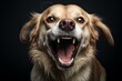 Problematic behavior of pet dogs. Generative AI