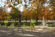 Green chairs in the autumn Tuileries Garden against a background of yellow trees, Paris, France. Beautiful view of the Tuileries Gardens in autumn