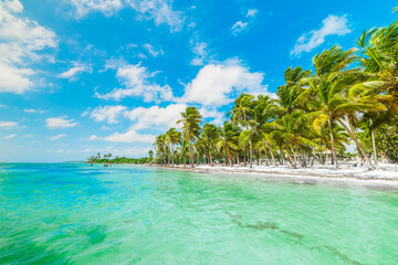 Wall Mural - Clear water in Bois Jolan beach in Guadeloupe