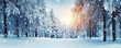 © Marcela Ruty Romero - Snowy landscape background. AI Generated.