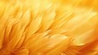 Golden feather background. Abstract texture for holiday background