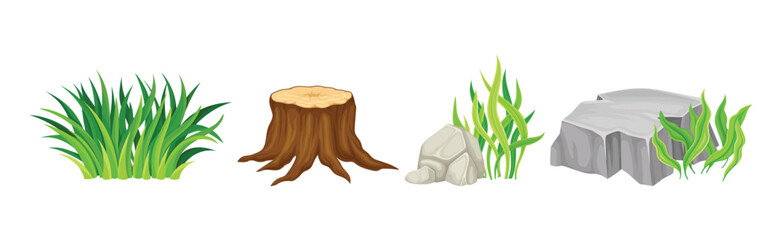 Canvas Print - Grass, Tree Stump and Grey Boulder as Forest Element Vector Set