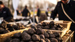 Truffle fair in Italy: vendors display fragrant truffles. Air scented with earthy truffle aroma.
