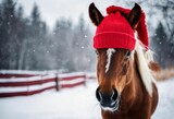 Fototapeta  - AI generated illustration of A  horse standing in a snowy landscape, wearing a red hat
