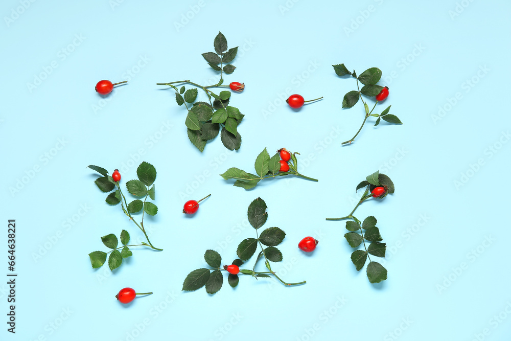 Fresh rose hip berries with leaves on blue background
