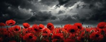 Banner With Red Poppy Flower Field, Symbol For Remembrance, Memorial, Anzac Day