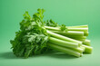 Fresh celery on a green background.