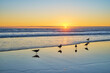 © Dmitry Rukhlenko - Seagulls on beach sund at atlantic ocean sunset with surging waves at Fonte da Telha beach, Costa da Caparica, Portugal