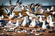 Flock Of Birds .A Group Of Seagulls Squabbling Over Scraps
