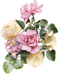 Wall Mural - Pink and ivory roses isolated on a transparent background. Png file.  Floral arrangement, bouquet of garden flowers. Can be used for invitations, greeting, wedding card.