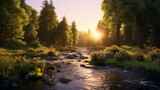 Fototapeta Las - A tranquil forest clearing with a gentle stream, bathed in the soft hues of sunset.
