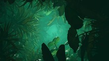 A Walk Through The Jungle. Infinitely Looped Animation.