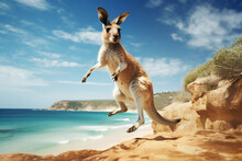 Animal Wildlife Kangaroo Australia Summer Nature Cute