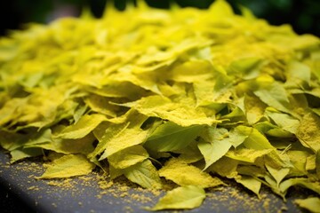 Canvas Print - pile of pollen-covered leaves