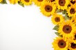 Sunflower Background with copy shape.