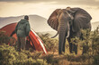 camping tent on a safari trail in Africa, with a hiker looking at a wild elephant from a safe distance, capturing the marvelous and awe-inspiring wildlife encounter.