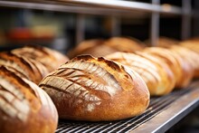 Close-up Of A Bakers Fresh Loaves In A Bakery