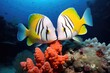 close-up of two fish nibbling on the same piece of coral