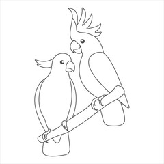 Australian doodle parrots couple. Cartoon cockatoo. Cute flat vector love parrots sitting on a branch isolated on white background. Talking realistic birds. Coloring picture