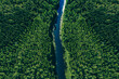 Aerial view of green woods forest with pine trees and blue river flowing through the forest