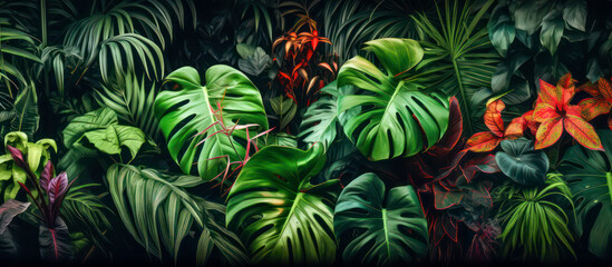 Wall Mural - green tropical leaves as background