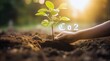 A hand planting green tree on earth with Co2 metaphor climate change solution plant absorb carbon dioxide , Generative AI illustrations.