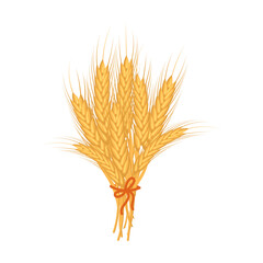 Wall Mural - Bouquet of spikelets of wheat. Agriculture icon, design element, vector